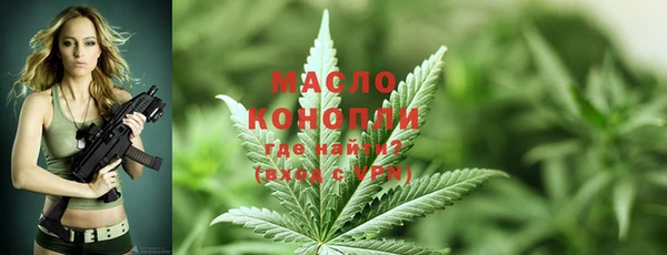 дживик Пестово