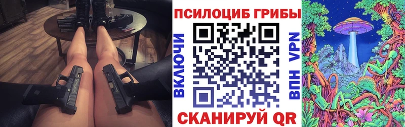 наркошоп Гудермес Галлюциногенные грибы Psilocybe